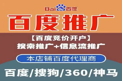 电商成功案例：竞价推广助力品牌崛起
